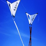 Freestyle Single Line Kite Bai Se Hue Die