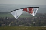 Revolution Kites 1.5 - Bai Design Printed Sail