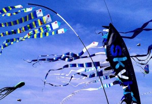 Dunstable Downs Kite Festival 2014