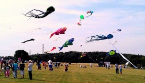 Dunstable Downs Kite Festival 2014