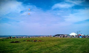 Dunstable Downs Kite Festival 2014